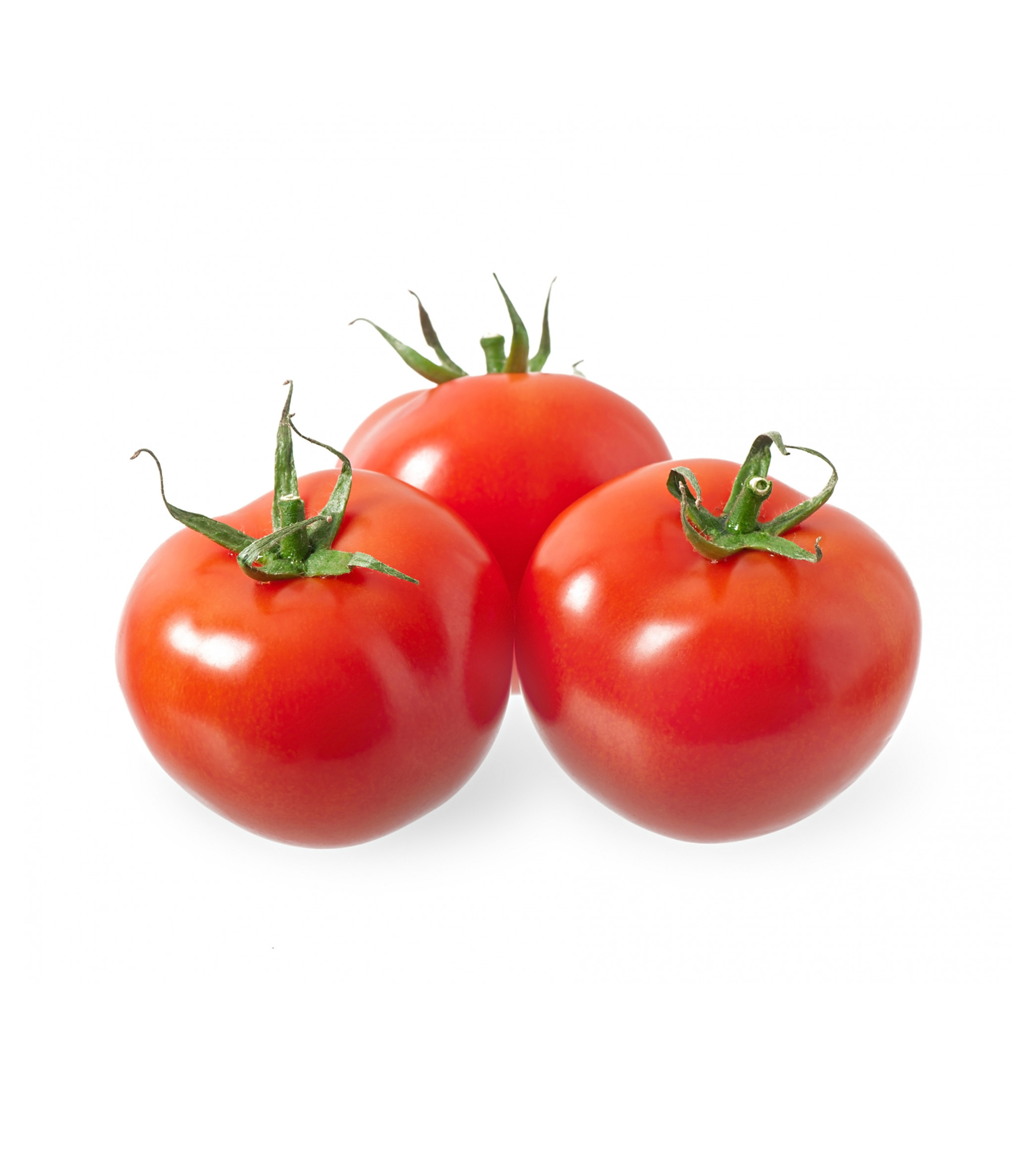 Farm-Fresh Tomatoes